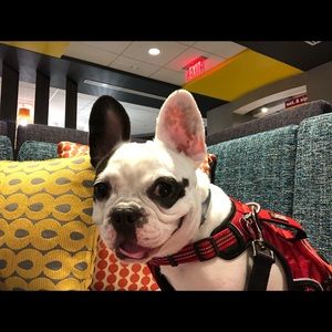 Meet your Posher, Becky